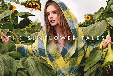 The Sunflower Tales